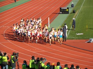京都H27.17